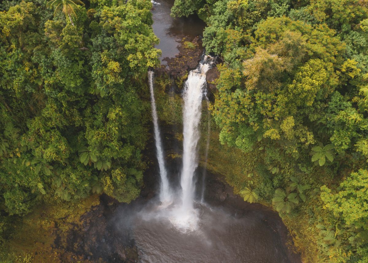 'Fuipisia falls Samoa' Poster by Charles Netzler | Displate