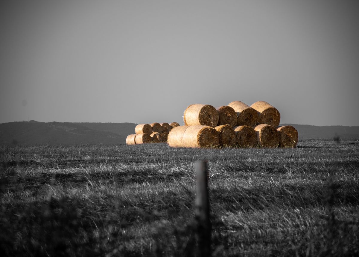 'straw pyramids' Poster by Siquenique | Displate