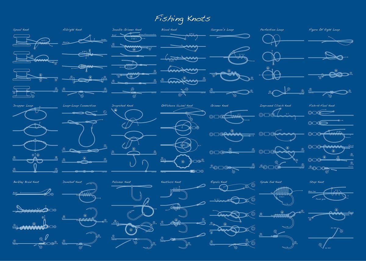 Fishing Knots' Poster, picture, metal print, paint by Angling