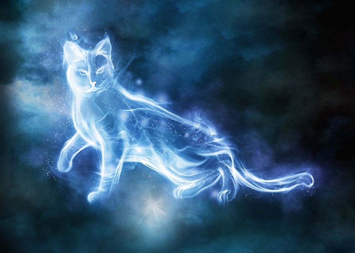 cat-patronus-poster-picture-metal-print-paint-by-wizarding-world