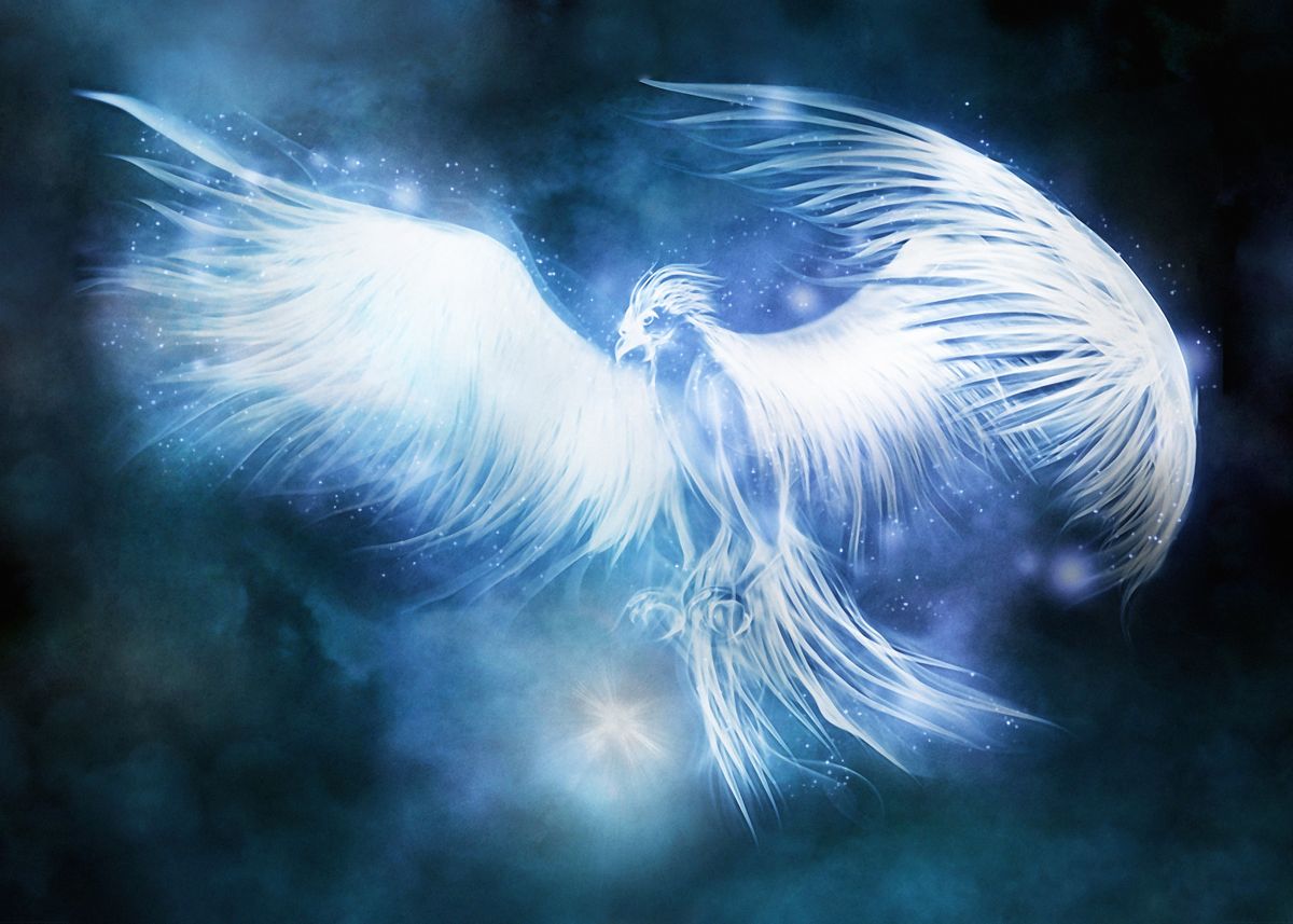 'Phoenix Patronus' Poster, picture, metal print, paint by Wizarding ...