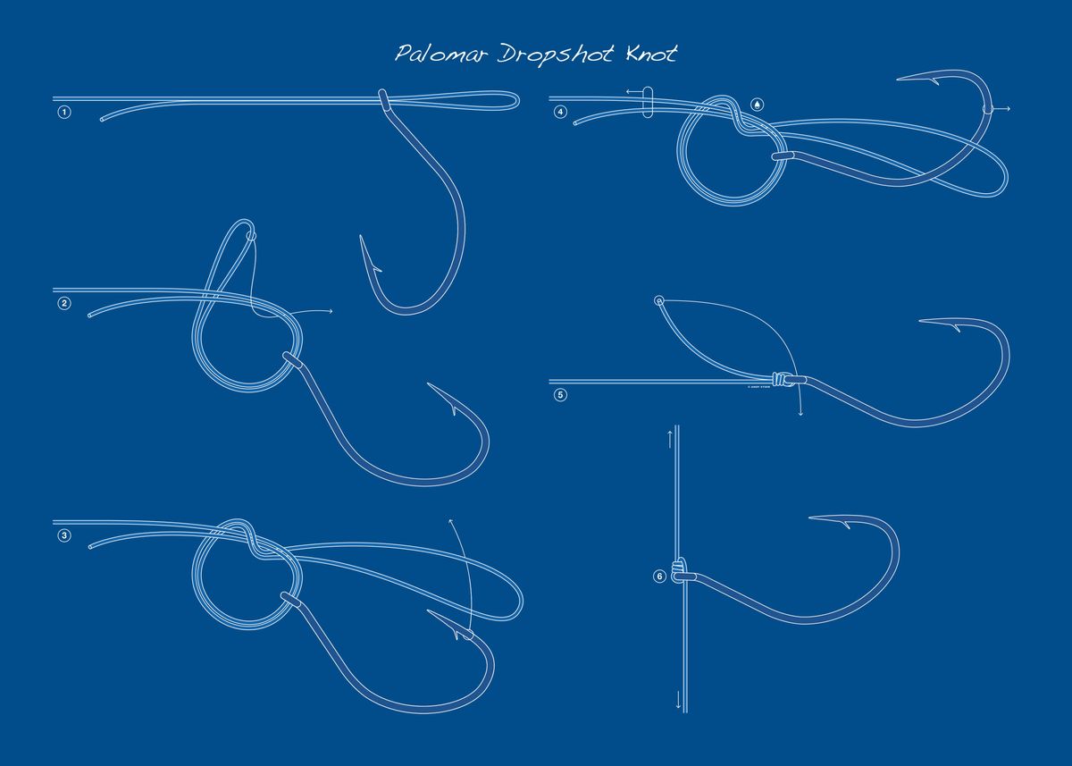 Fishing Knots ' Poster, picture, metal print, paint by Angling Knots