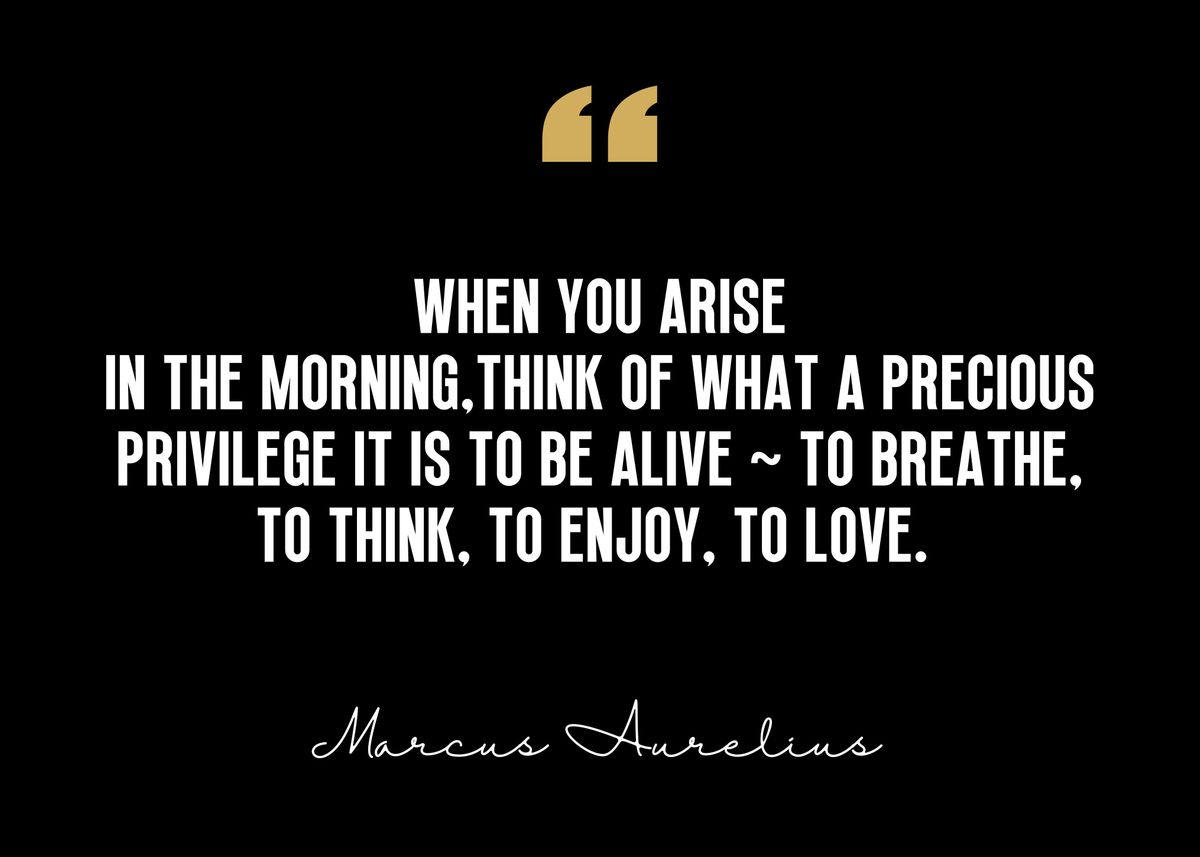 'Marcus Aurelius Quote' Poster, picture, metal print, paint by Yess ...