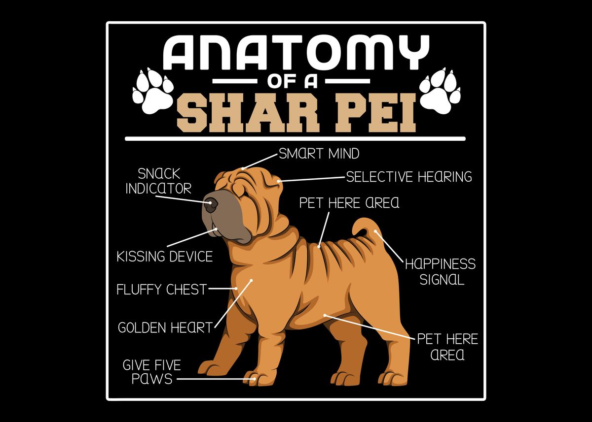 'Anatomy Of A Shar Pei' Poster, picture, metal print, paint by Hexor ...