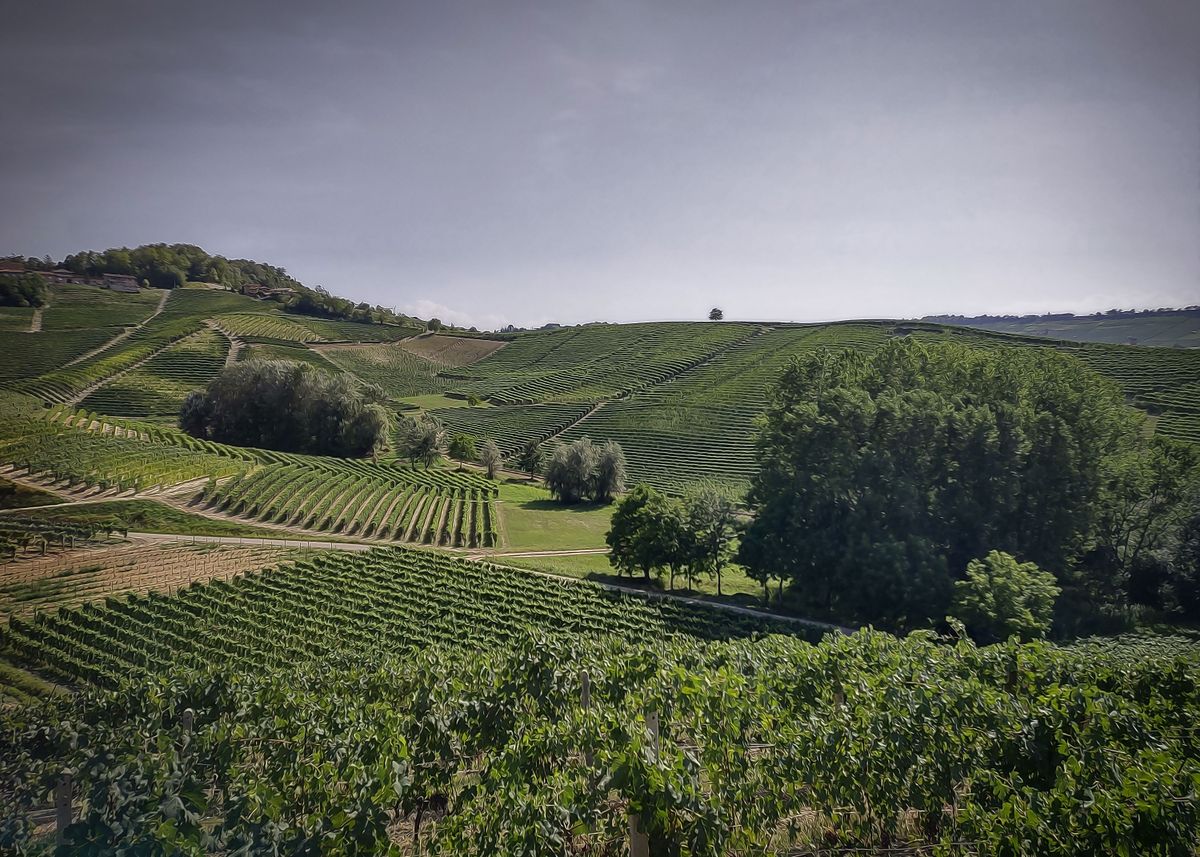 'Countryside of Langhe' Poster, picture, metal print, paint by Sergio ...