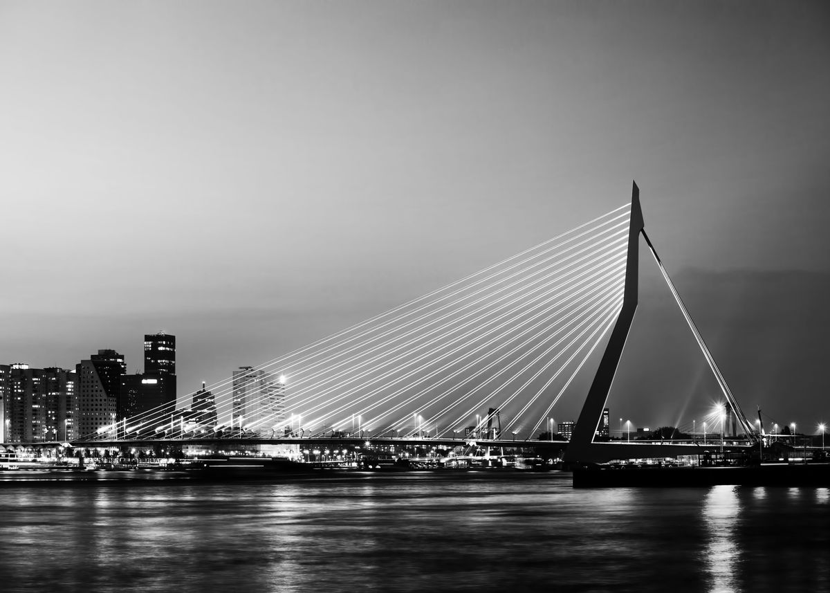  Erasmusbrug In Rotterdam Poster Picture Metal Print Paint By 