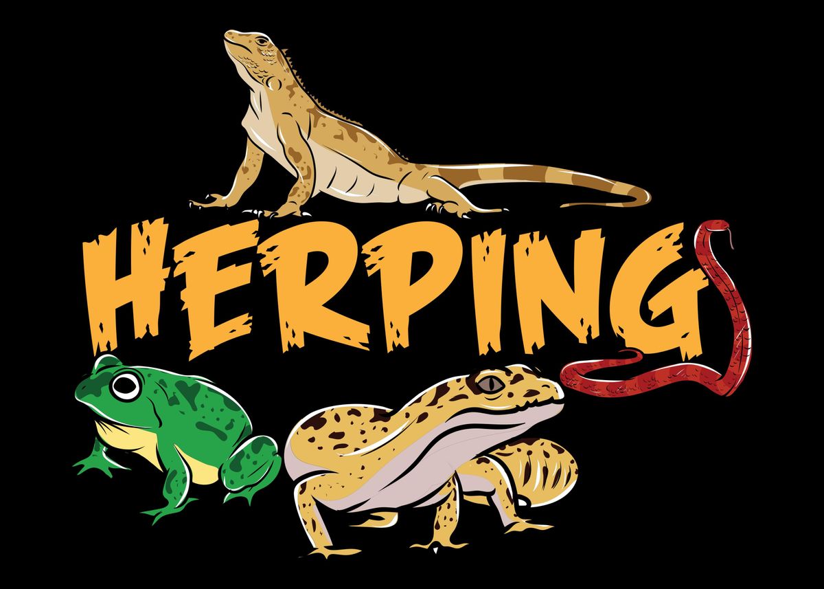 'Herpetology Reptile' Poster, picture, metal print, paint by MuffinPowa ...