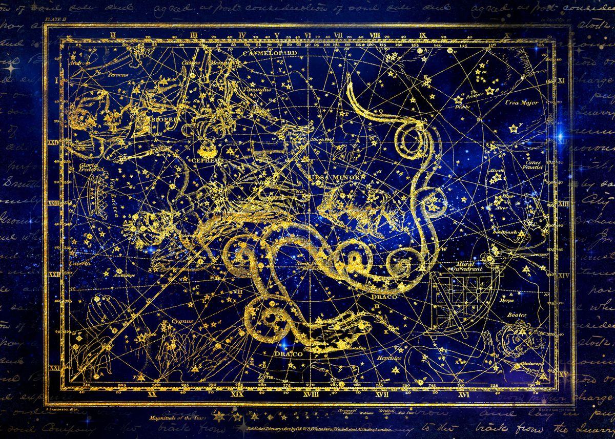 'Stellar Ursa Minor' Poster by PHINX Displate