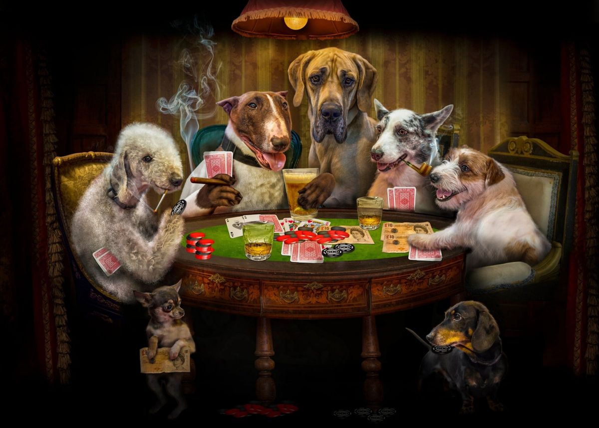 Crazy Dog the Card game