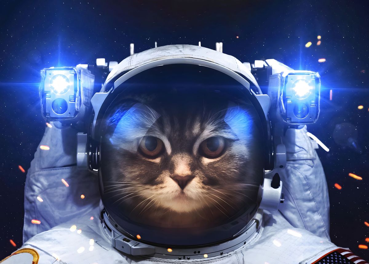 'Cat Astronaut space moon' Poster, picture, metal print, paint by gani ...