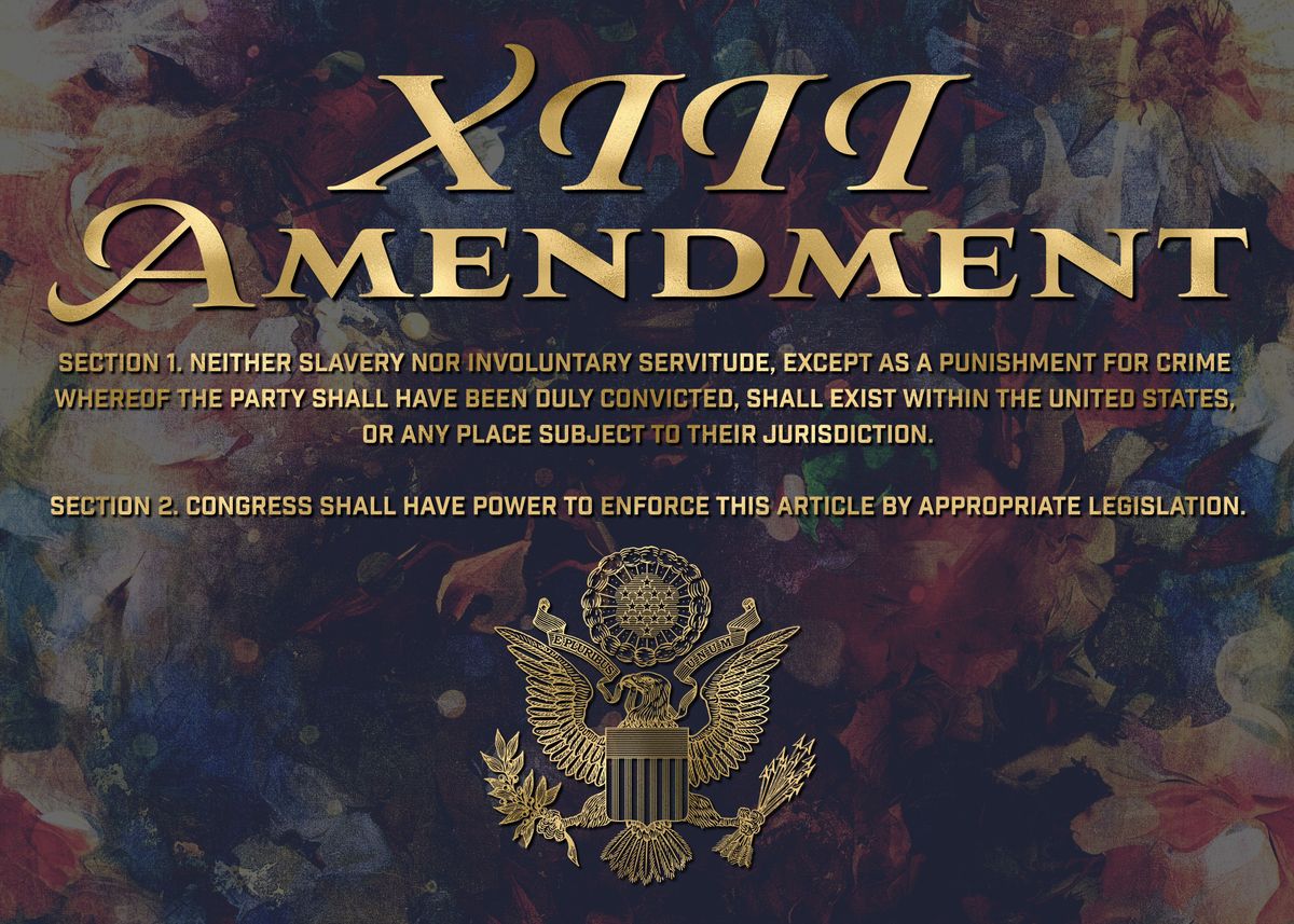 Amendment Xiii Poster Picture Metal Print Paint By Sycaid Displate