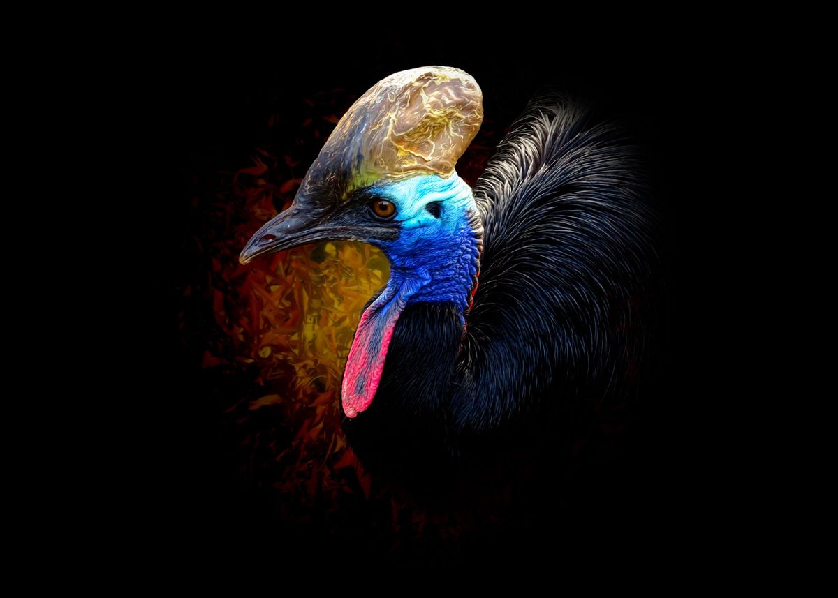 'Cassowary' Poster, picture, metal print, paint by Gyula Gvardián ...