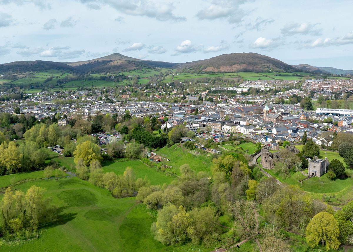 'Abergavenny and Sugar Loaf' Poster, picture, metal print, paint by ...