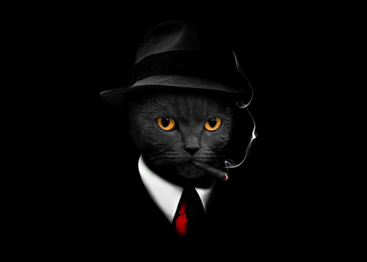 'BLACK CAT HAT POSTER' Poster, picture, metal print, paint by gani ...