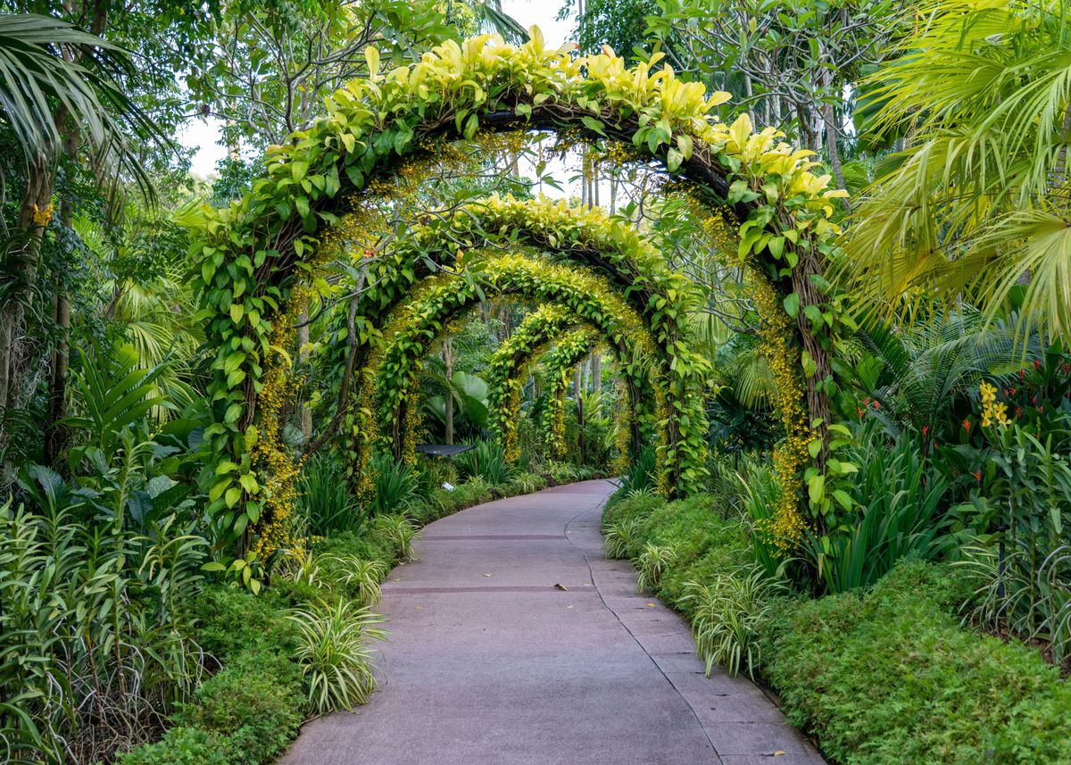 'Green Archway Path' Poster, picture, metal print, paint by Creativity ...