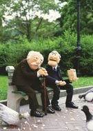 Statler & Waldorf Pigeons