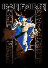 Iron Maiden - The X Factor - Encyclopaedia Metallum  Iron maiden posters, Iron  maiden albums, Iron maiden cover