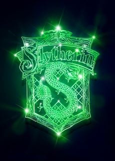 Slytherin Neon Crest