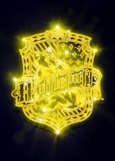 Hufflepuff Neon Crest