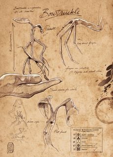 Bowtruckle Note