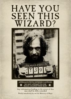 Have you seen this wizard?