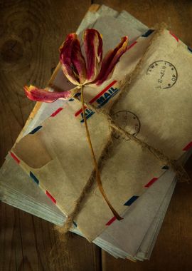 Still life with pile of old letters and dried tulip flo ... 