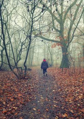 Walking in the foggy woodland