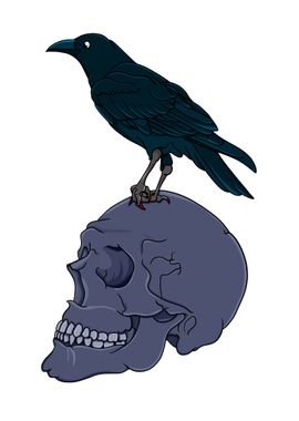 A raven standing on top of a human skull.