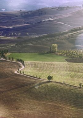 hilly landscape