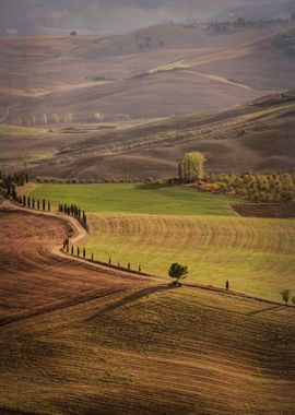 hilly landscape