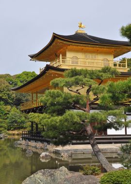 Kinkaku-ji Temple Japan