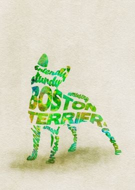 Boston Terrier Dog Typo