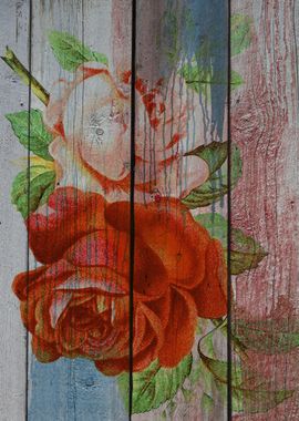 Roses on wood 