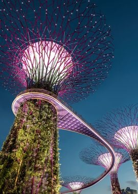 Gardens by the Bay