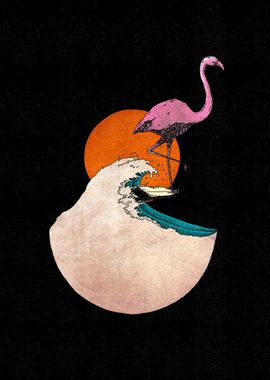 flamingo surf