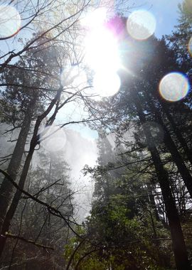 Facing the elements