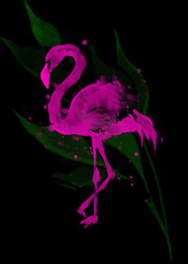 Flamingo