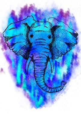 Water Elephant