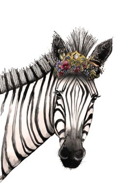 The crowned zebra