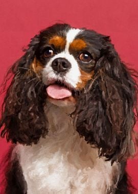 Cavalier King Charles Span