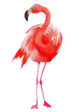 Flamingo I