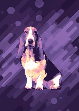 Basset Hound