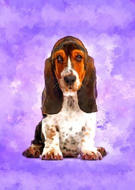 Basset Hound Puppy