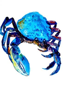 Nautical - blue crab 