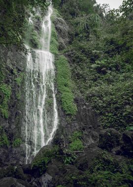 Nature colombia