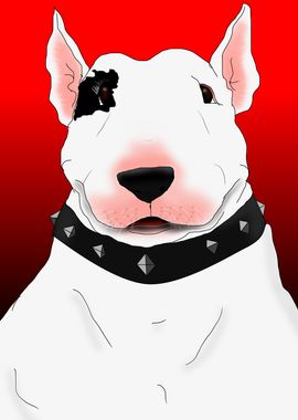 bull terrier