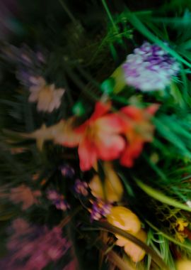 Abstract blurred flowers