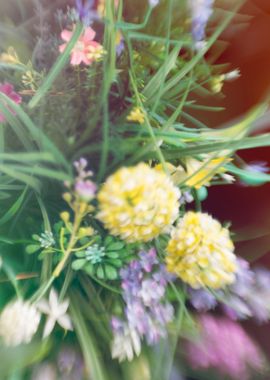 Abstract blurred flowers