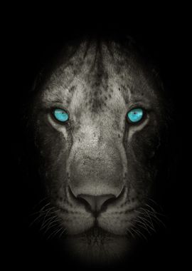 The Seeing Lion