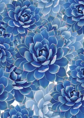 Succulent pattern 2